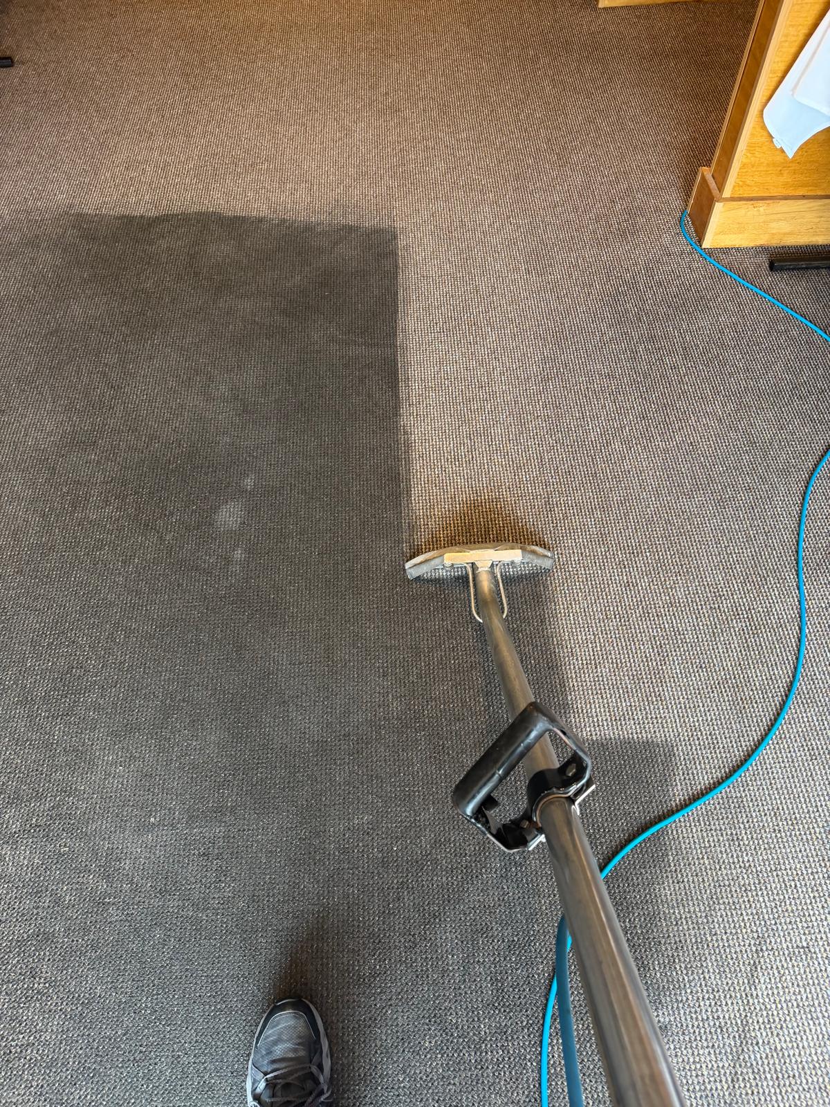 Carpet cleaning before and after